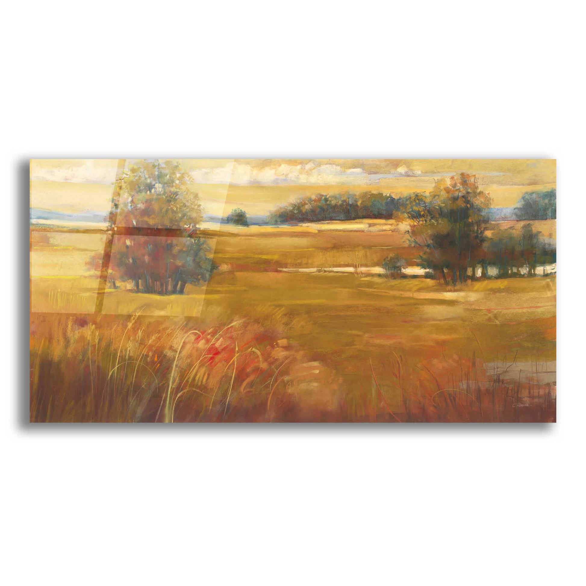 Epic Art 'October Light Golden Sky' by Carol Rowan, Acrylic Glass Wall Art