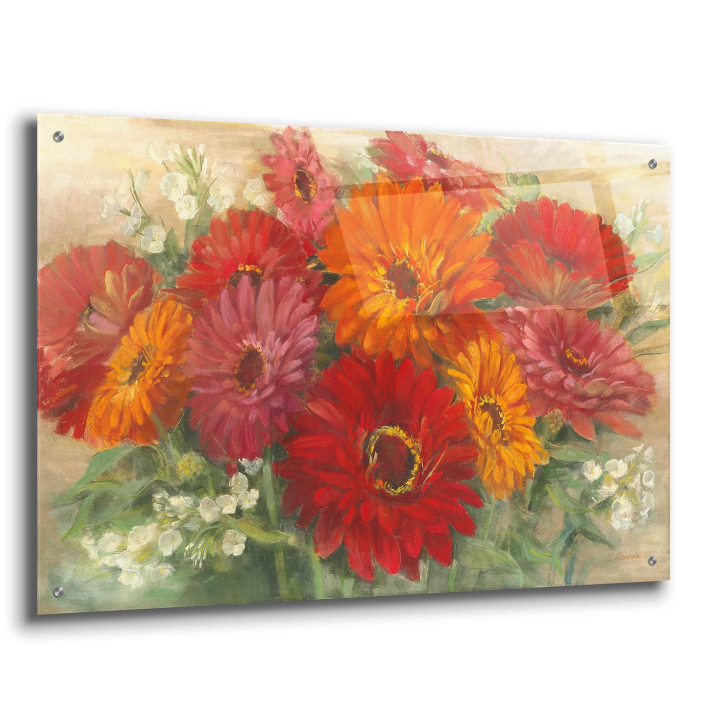 Epic Art 'Summer Gerbera Bouquet' by Carol Rowan, Acrylic Glass Wall Art,36x24