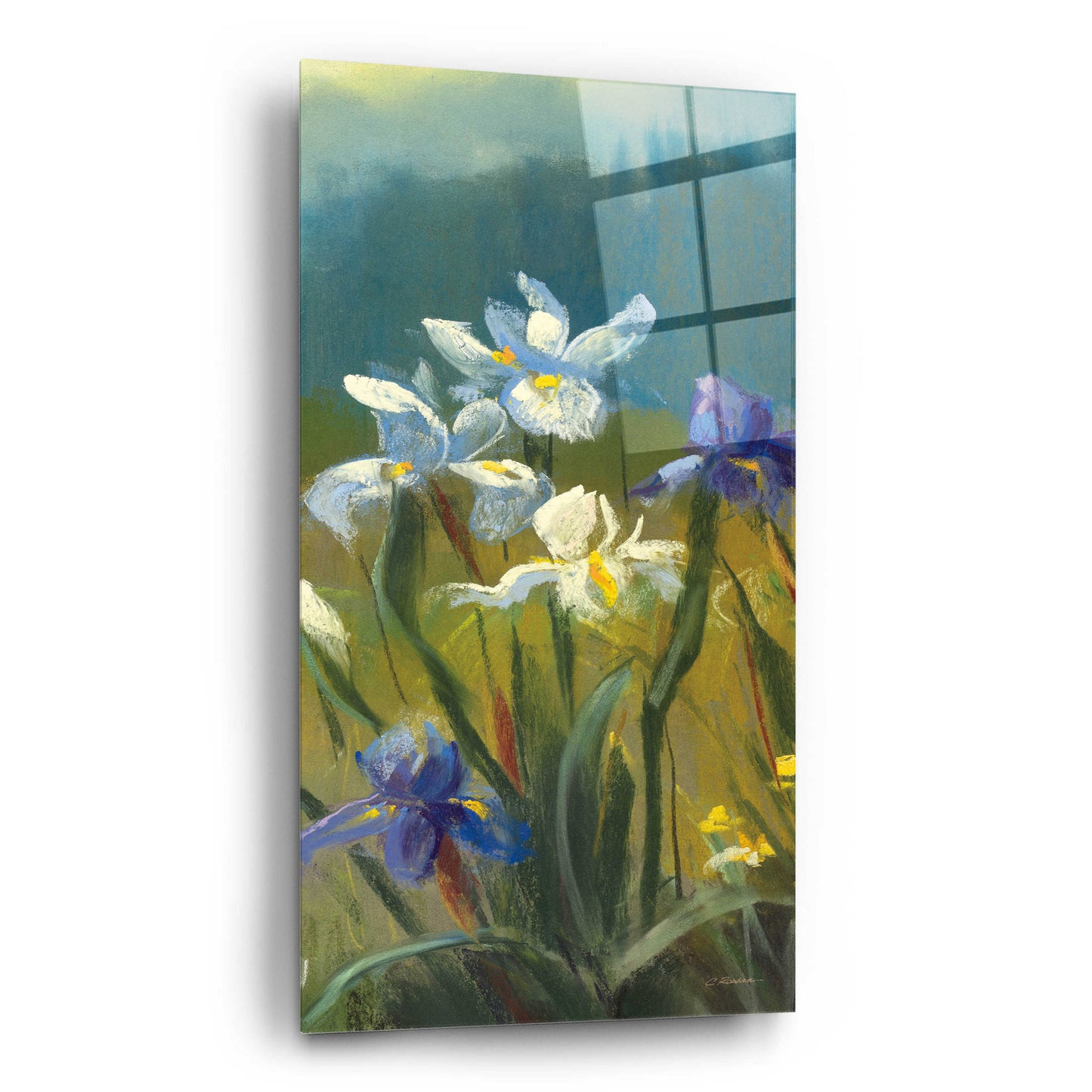 Epic Art 'Wild Iris III' by Carol Rowan, Acrylic Glass Wall Art,12x24