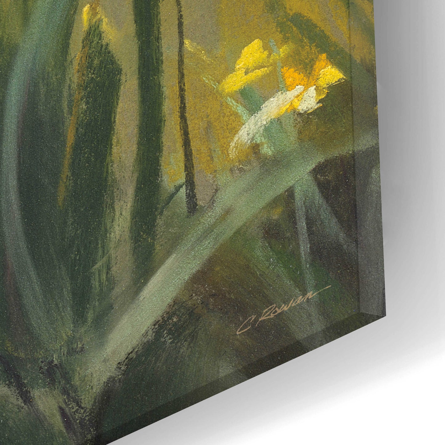 Epic Art 'Wild Iris III' by Carol Rowan, Acrylic Glass Wall Art,12x24