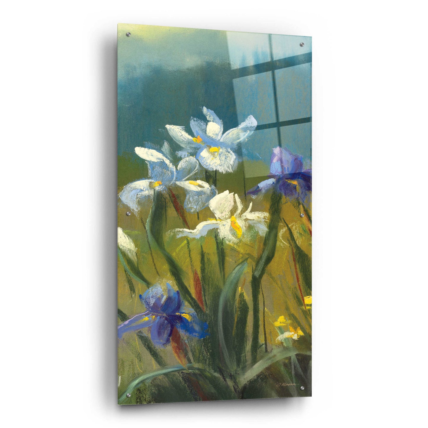 Epic Art 'Wild Iris III' by Carol Rowan, Acrylic Glass Wall Art,24x48