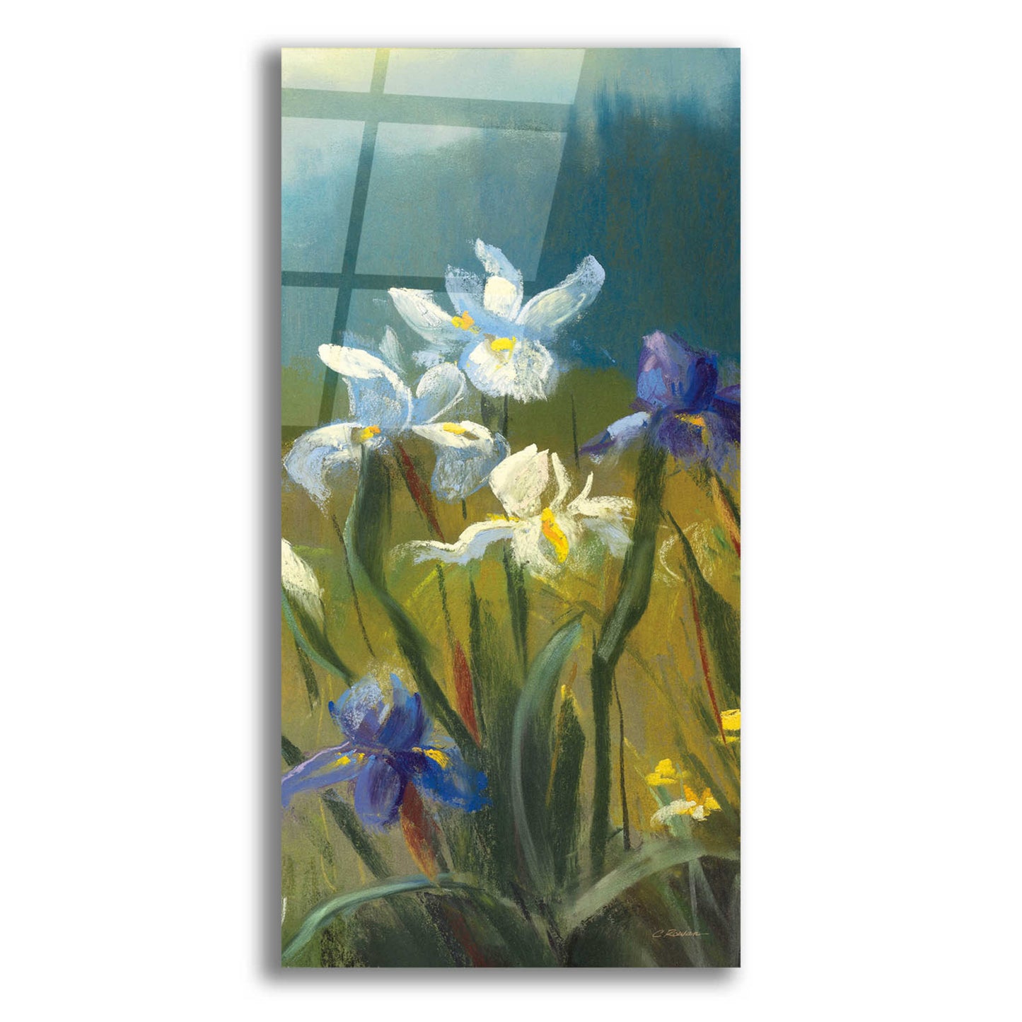 Epic Art 'Wild Iris III' by Carol Rowan, Acrylic Glass Wall Art