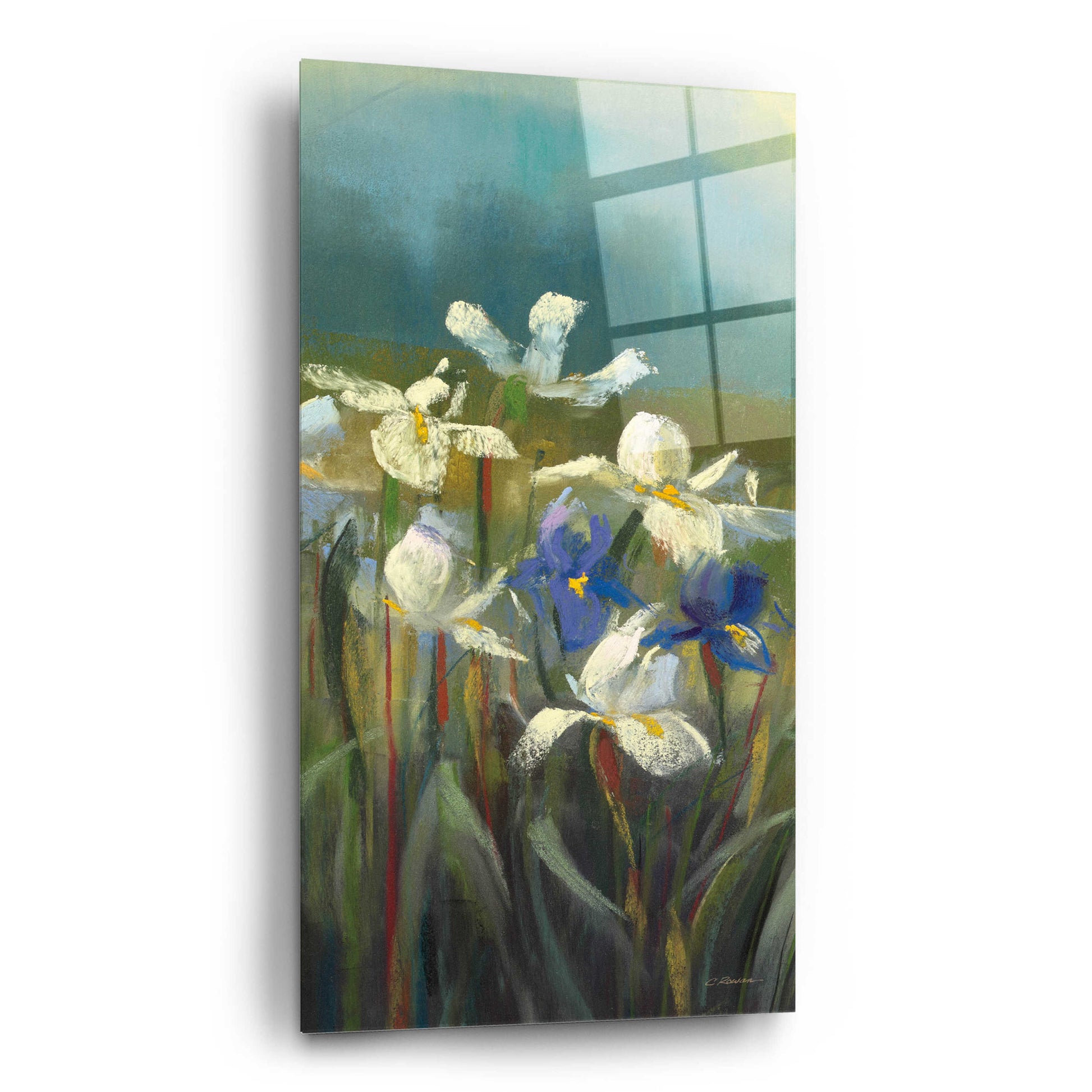 Epic Art 'Wild Iris II' by Carol Rowan, Acrylic Glass Wall Art,12x24