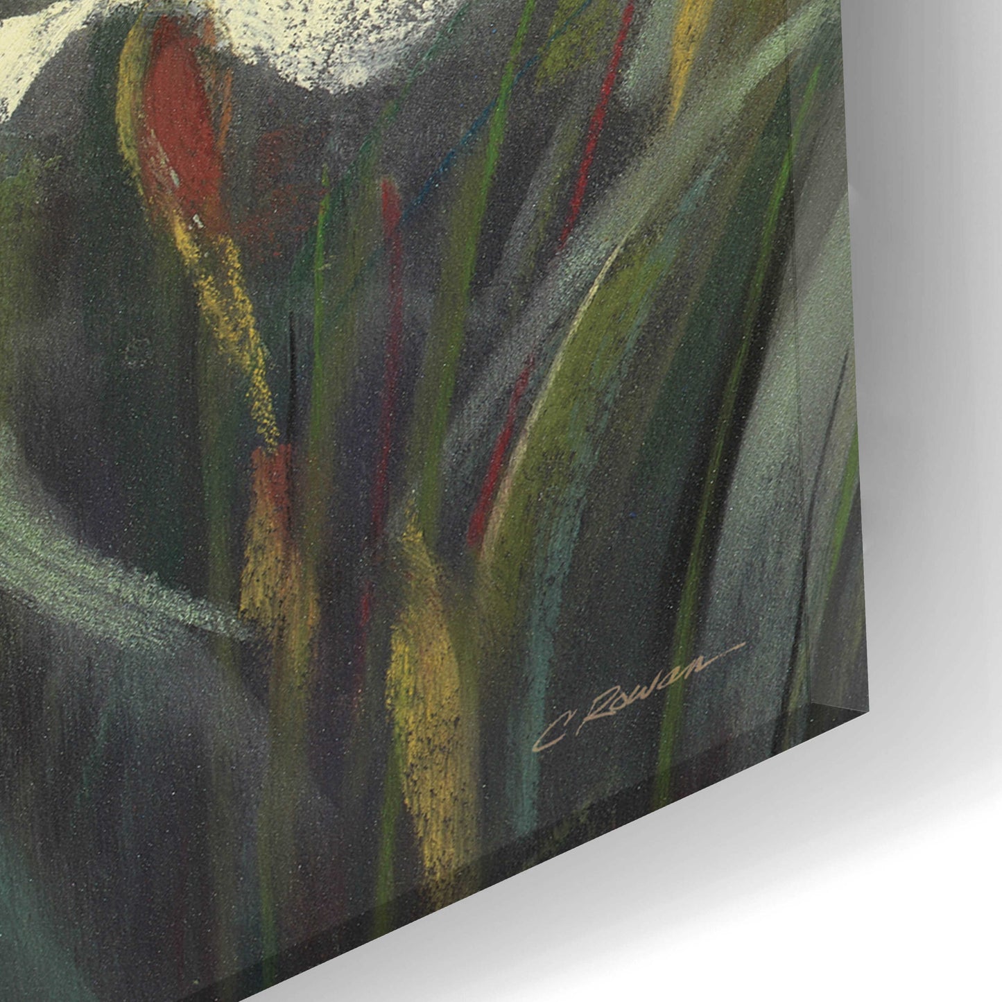 Epic Art 'Wild Iris II' by Carol Rowan, Acrylic Glass Wall Art,12x24