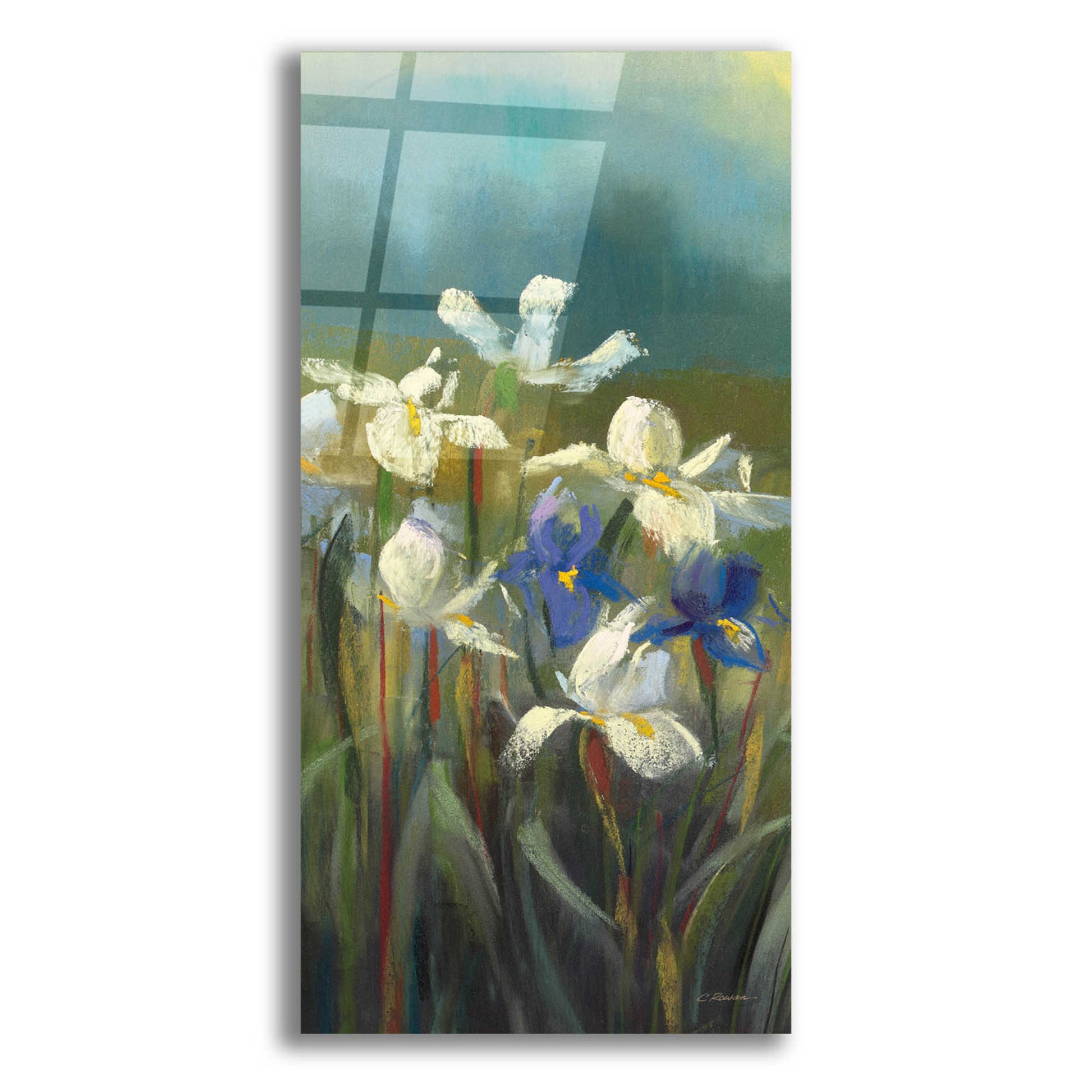 Epic Art 'Wild Iris II' by Carol Rowan, Acrylic Glass Wall Art