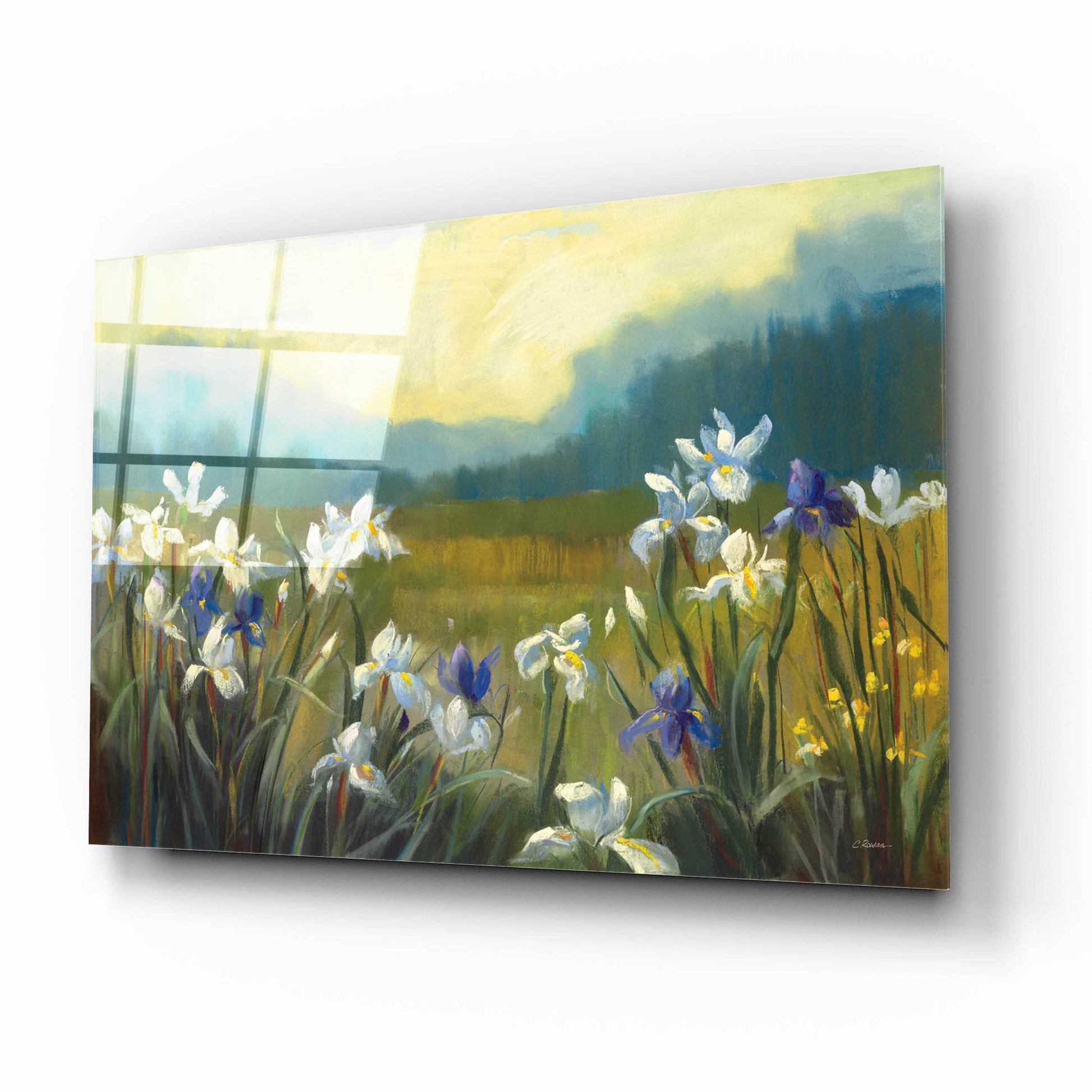 Epic Art 'Wild Iris' by Carol Rowan, Acrylic Glass Wall Art,16x12