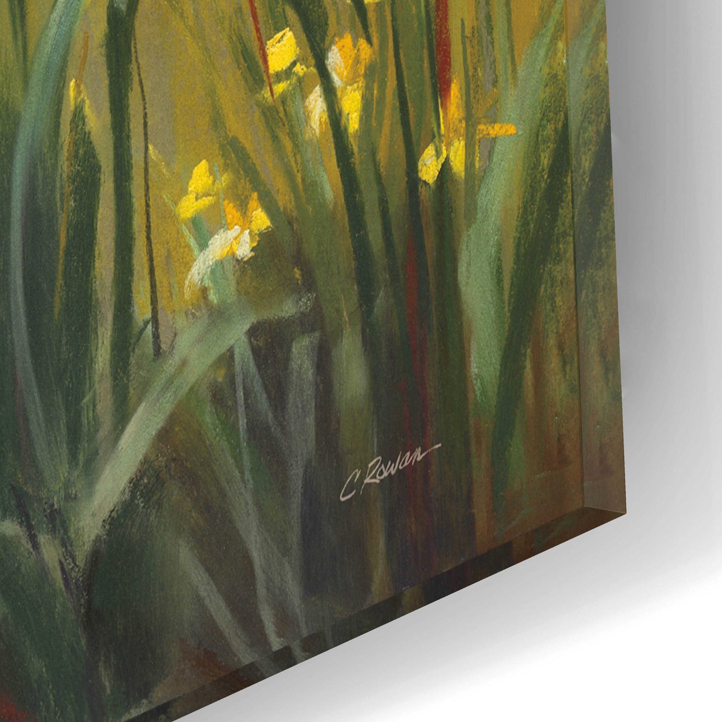 Epic Art 'Wild Iris' by Carol Rowan, Acrylic Glass Wall Art,16x12