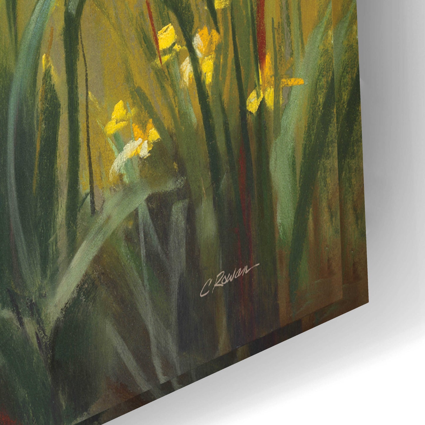 Epic Art 'Wild Iris' by Carol Rowan, Acrylic Glass Wall Art,24x16