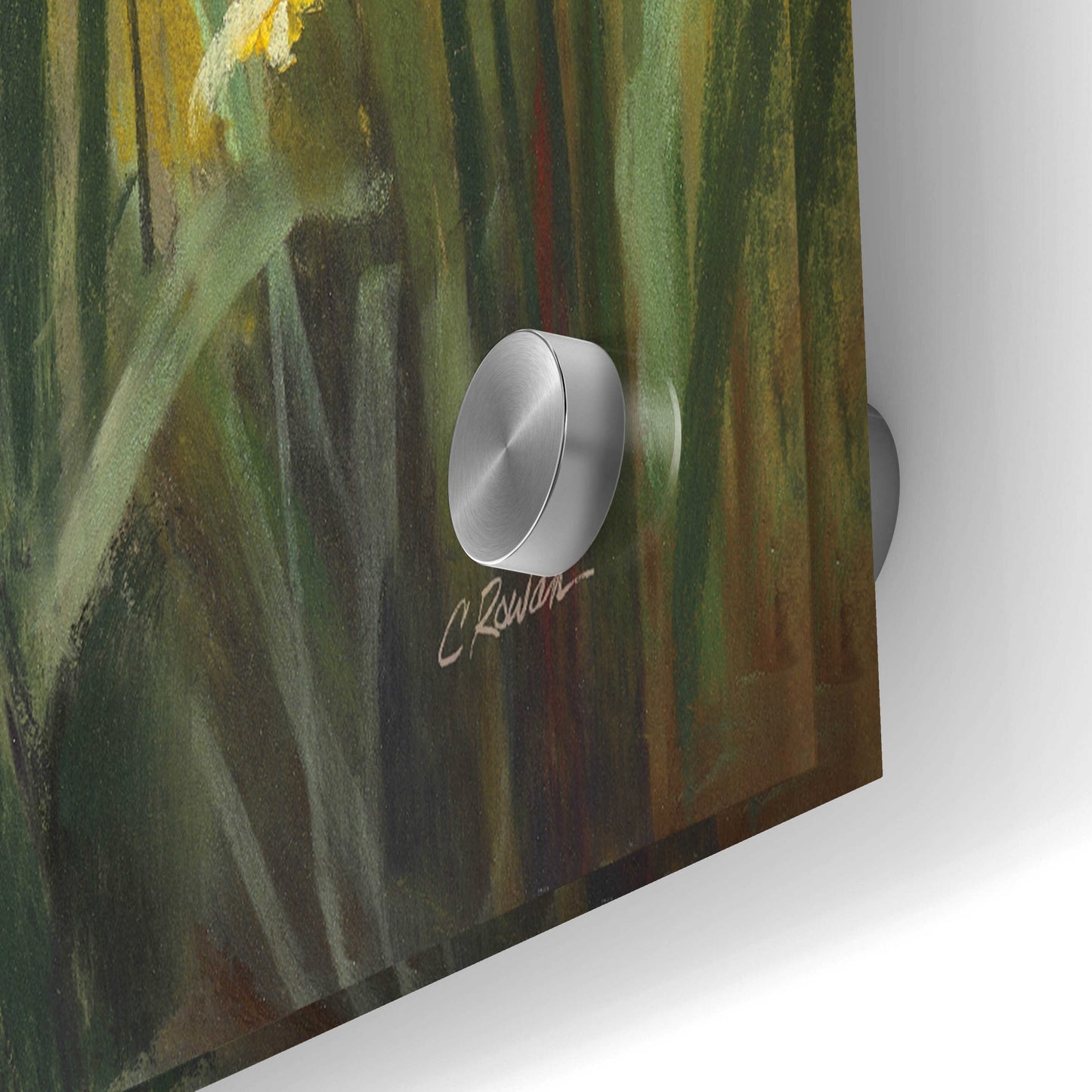 Epic Art 'Wild Iris' by Carol Rowan, Acrylic Glass Wall Art,36x24