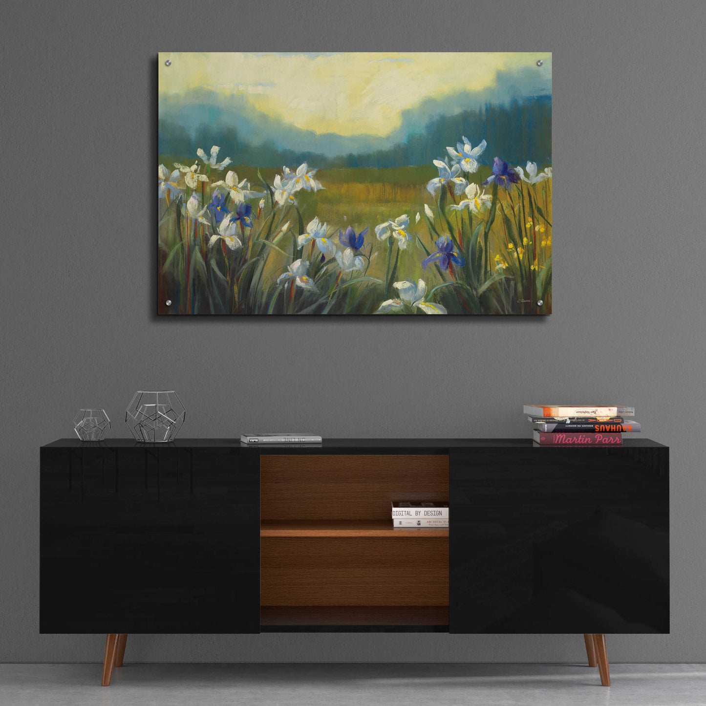 Epic Art 'Wild Iris' by Carol Rowan, Acrylic Glass Wall Art,36x24