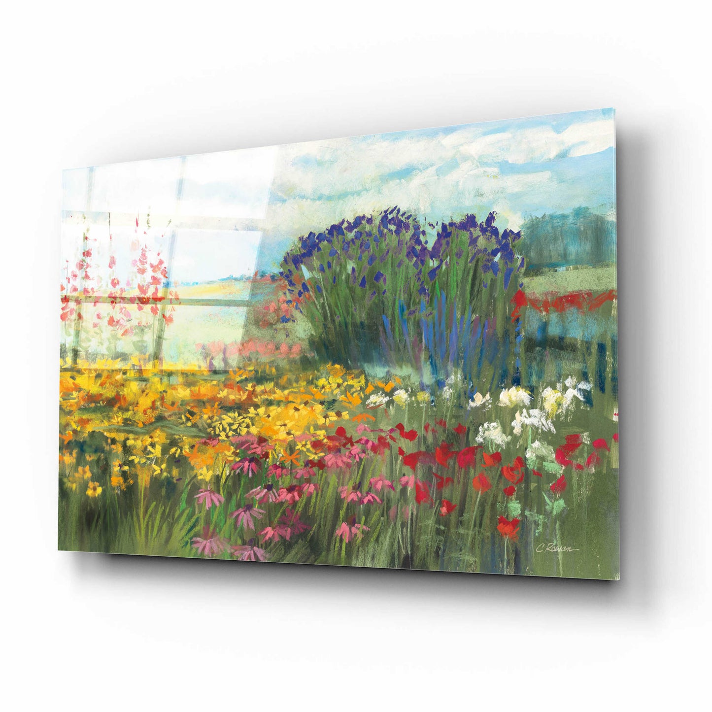 Epic Art 'Garden Border' by Carol Rowan, Acrylic Glass Wall Art,16x12