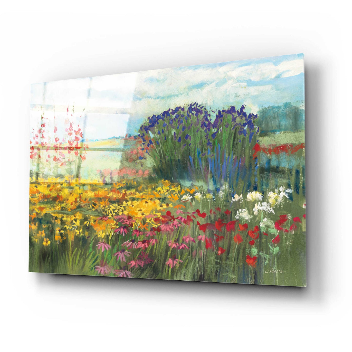 Epic Art 'Garden Border' by Carol Rowan, Acrylic Glass Wall Art,24x16