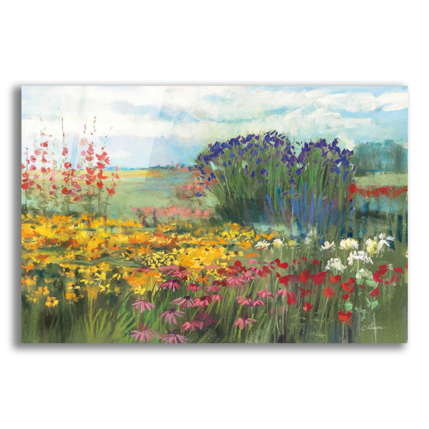 Epic Art 'Garden Border' by Carol Rowan, Acrylic Glass Wall Art,24x16