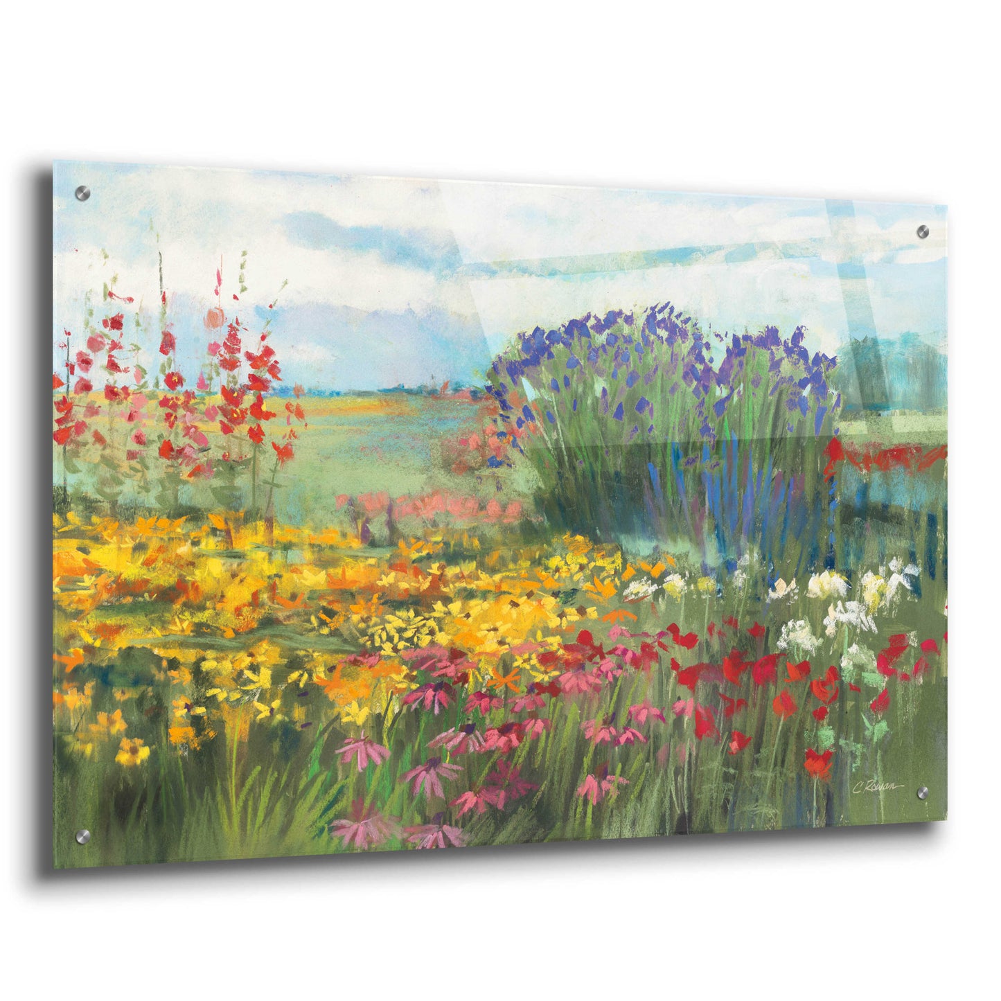 Epic Art 'Garden Border' by Carol Rowan, Acrylic Glass Wall Art,36x24