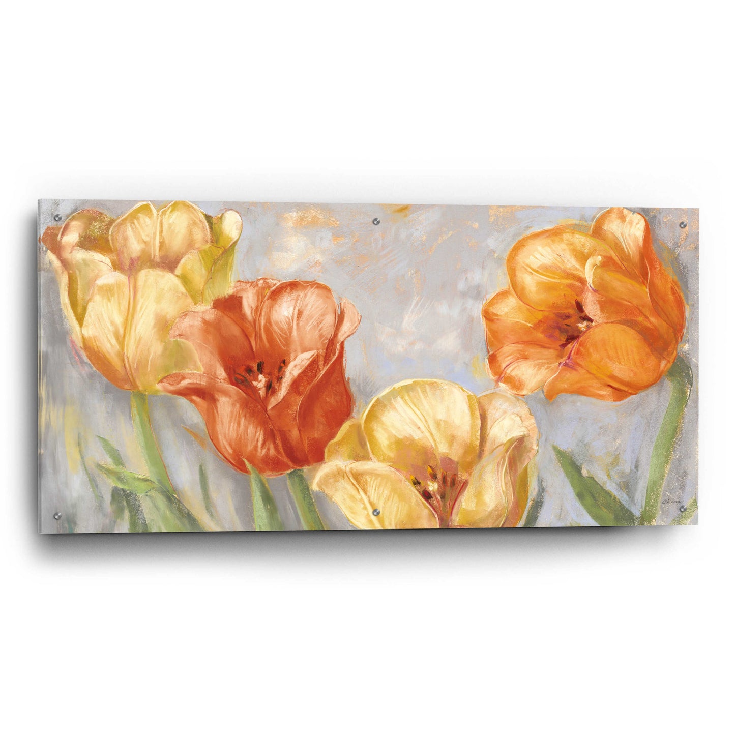 Epic Art 'Yellow Tulips Bold' by Carol Rowan, Acrylic Glass Wall Art,48x24