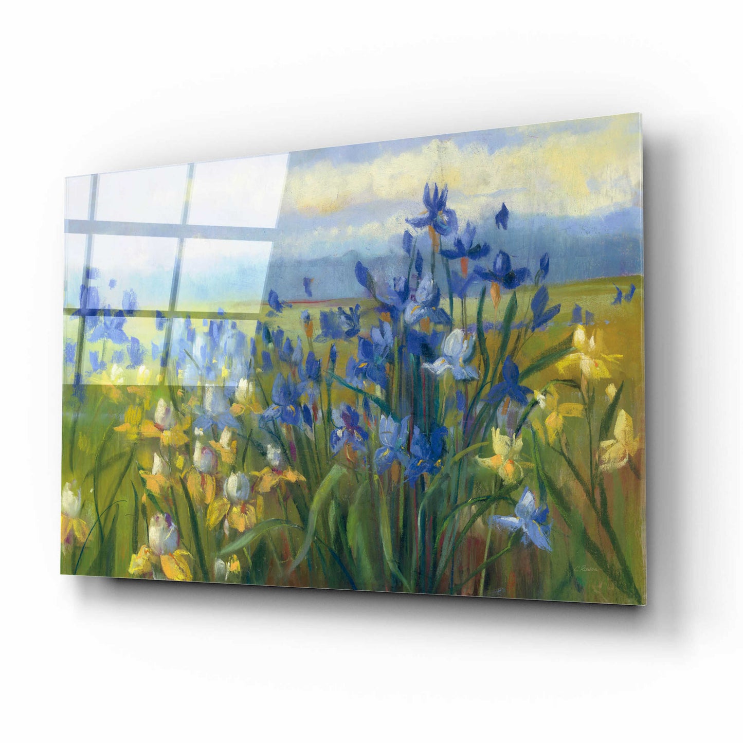 Epic Art 'Blue And Yellow Flower Field V2' by Carol Rowan, Acrylic Glass Wall Art,16x12