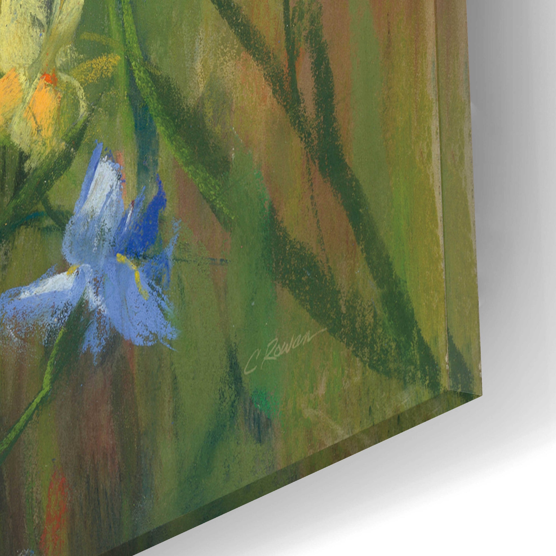 Epic Art 'Blue And Yellow Flower Field V2' by Carol Rowan, Acrylic Glass Wall Art,16x12