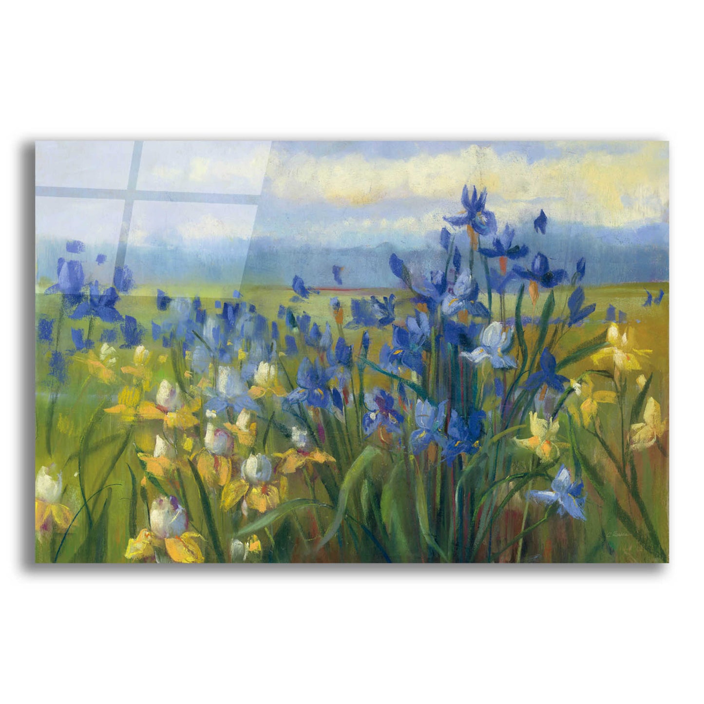 Epic Art 'Blue And Yellow Flower Field V2' by Carol Rowan, Acrylic Glass Wall Art,24x16