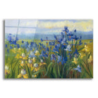Blue And Yellow Flower Field V2 by Carol Rowan acrylic glass wall art