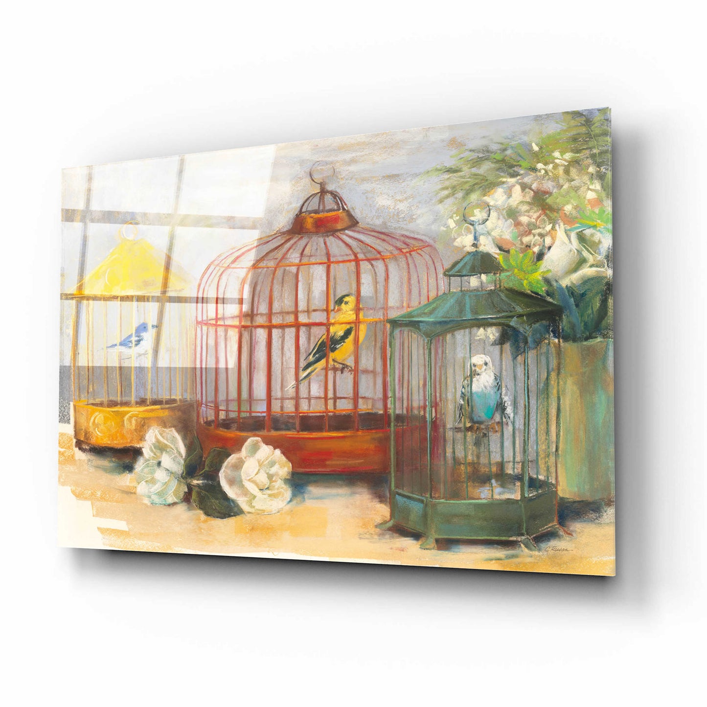 Epic Art 'Birdcage Trio' by Carol Rowan, Acrylic Glass Wall Art,16x12