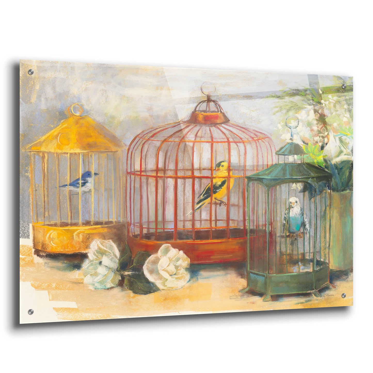 Epic Art 'Birdcage Trio' by Carol Rowan, Acrylic Glass Wall Art,36x24