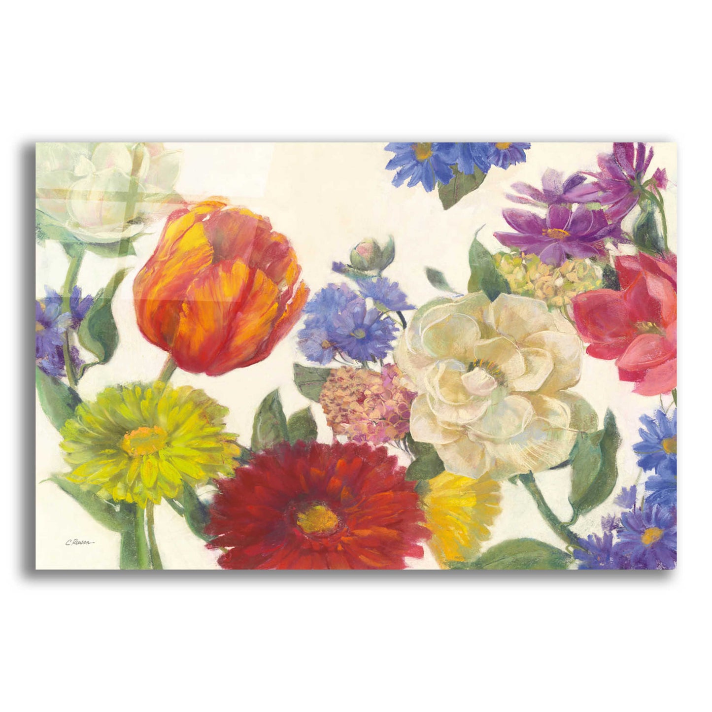 Epic Art 'Colorful Flowers On White' by Carol Rowan, Acrylic Glass Wall Art,24x16