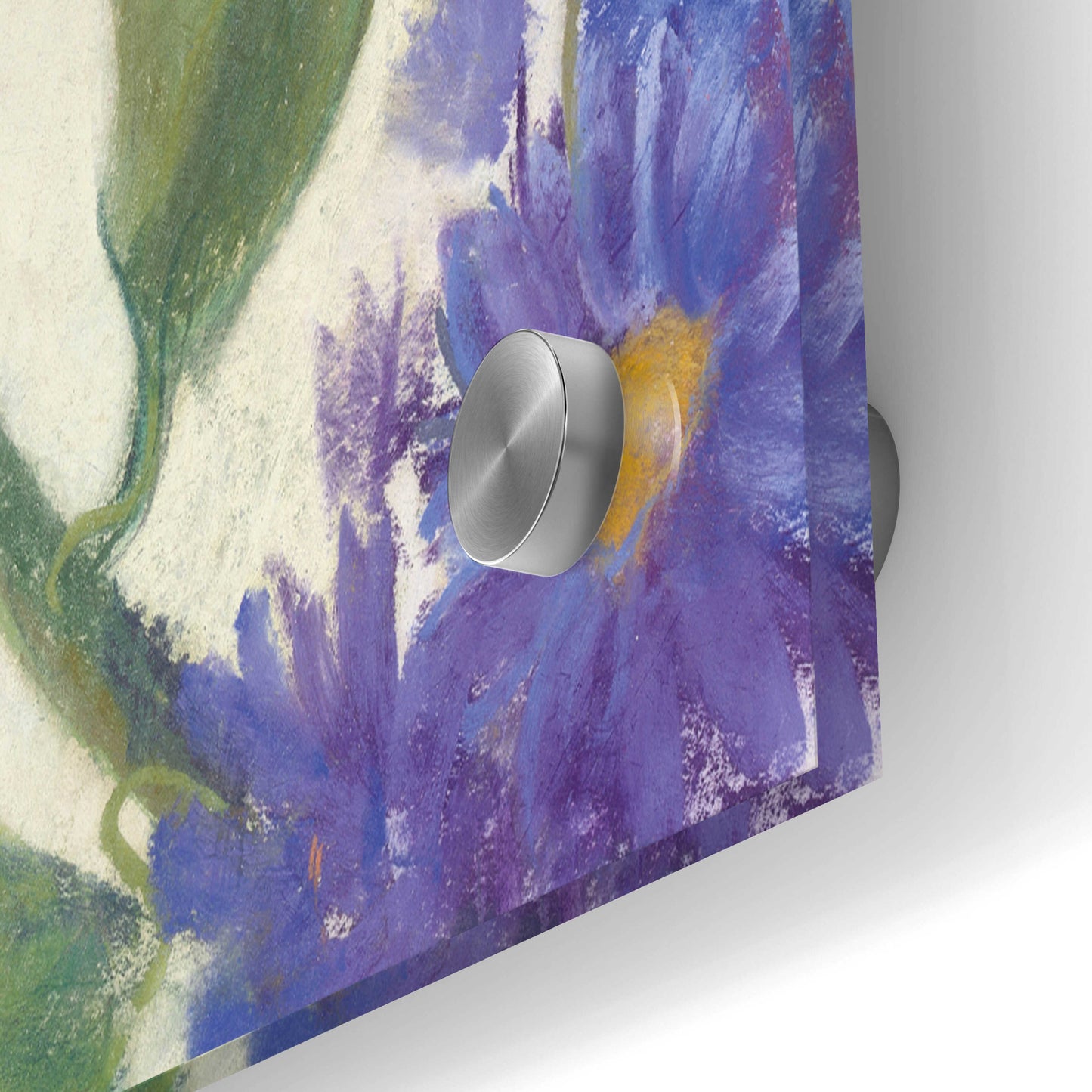 Epic Art 'Colorful Flowers On White' by Carol Rowan, Acrylic Glass Wall Art,36x24