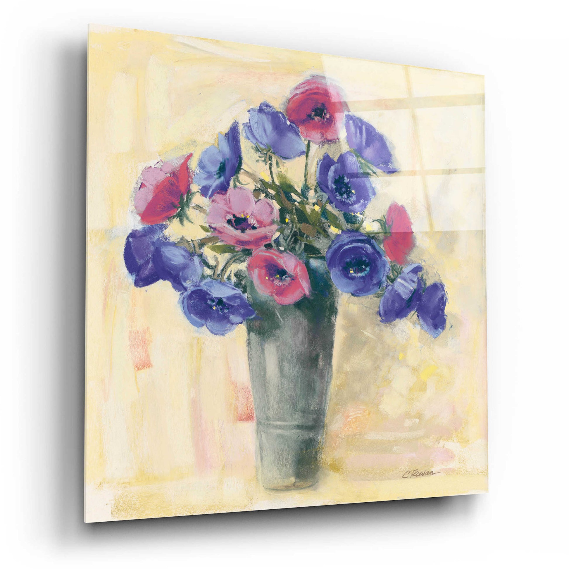 Epic Art 'Anemones I' by Carol Rowan, Acrylic Glass Wall Art,12x12