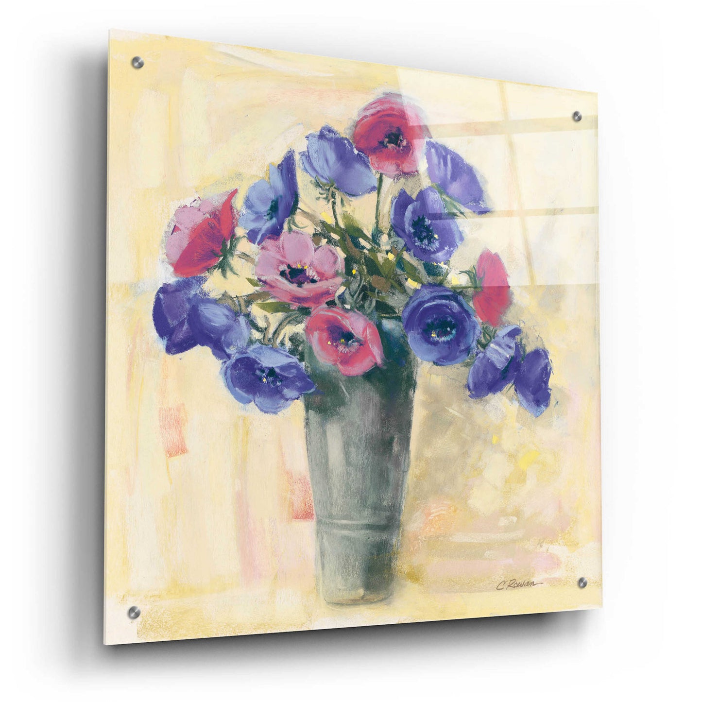 Epic Art 'Anemones I' by Carol Rowan, Acrylic Glass Wall Art,24x24