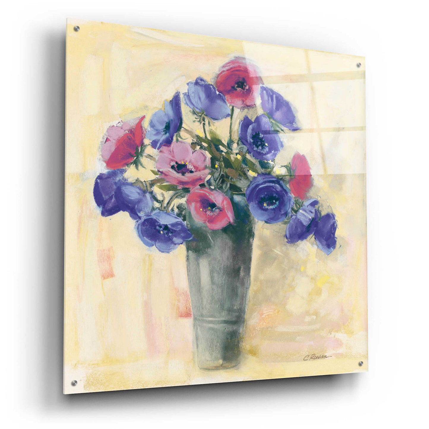 Epic Art 'Anemones I' by Carol Rowan, Acrylic Glass Wall Art,36x36