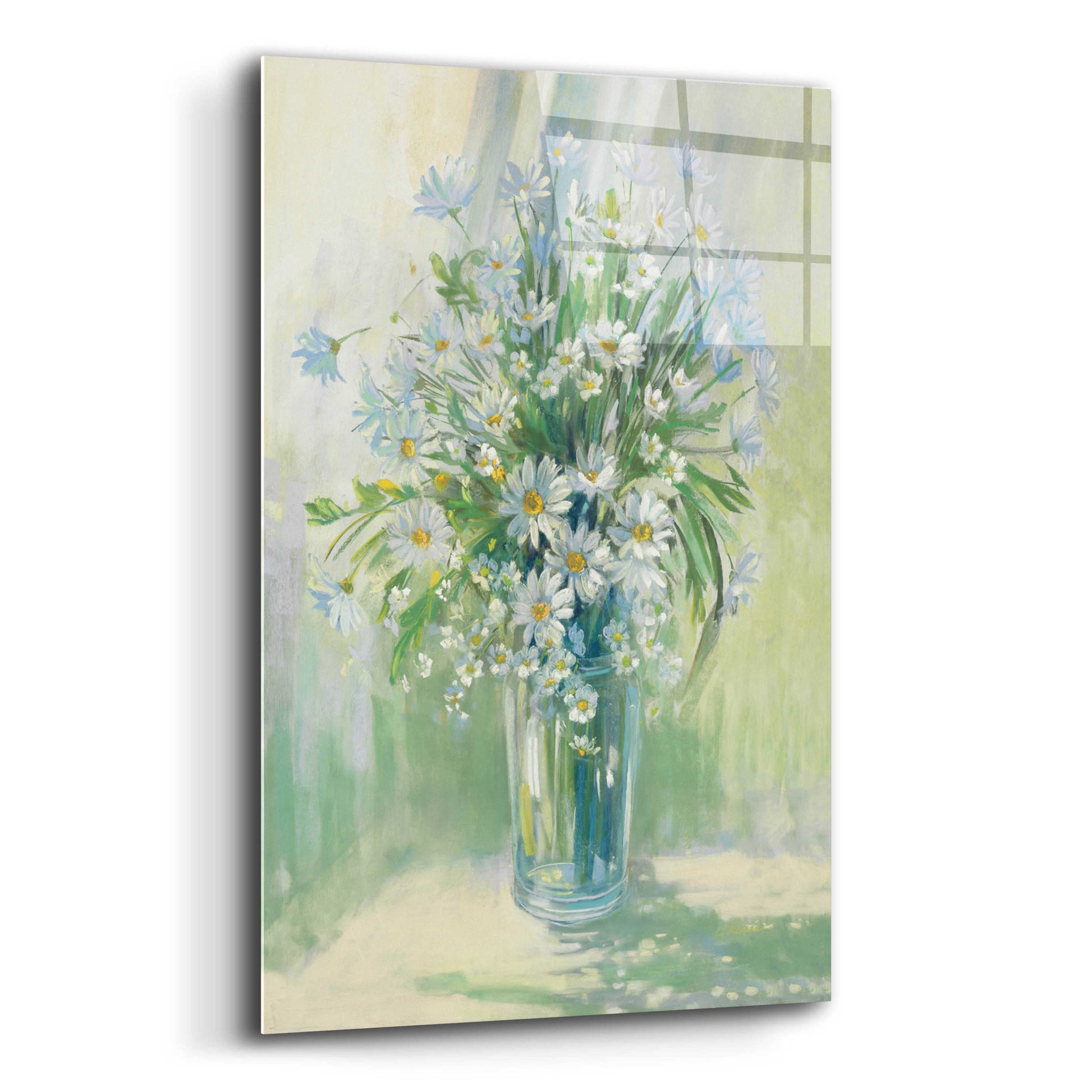 Epic Art 'Sunlit Daisies' by Carol Rowan, Acrylic Glass Wall Art,12x16