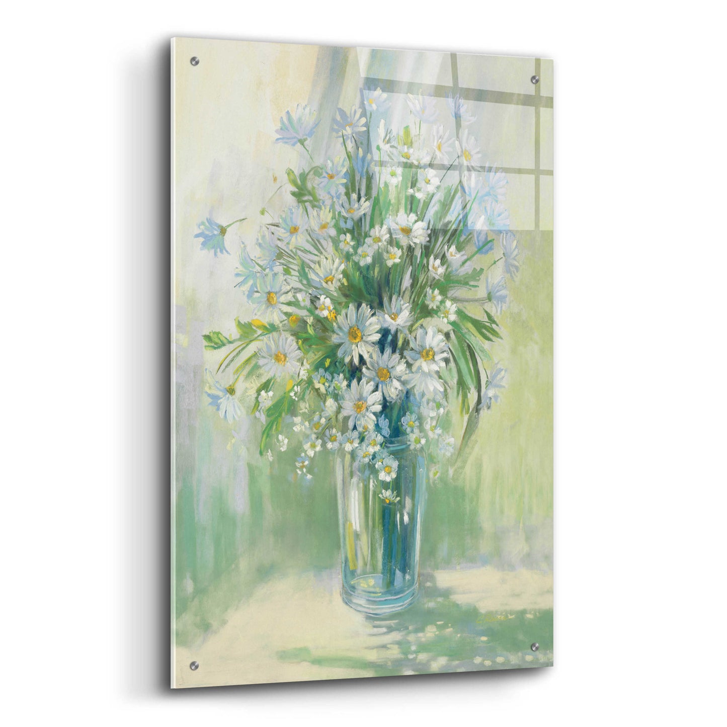 Epic Art 'Sunlit Daisies' by Carol Rowan, Acrylic Glass Wall Art,24x36