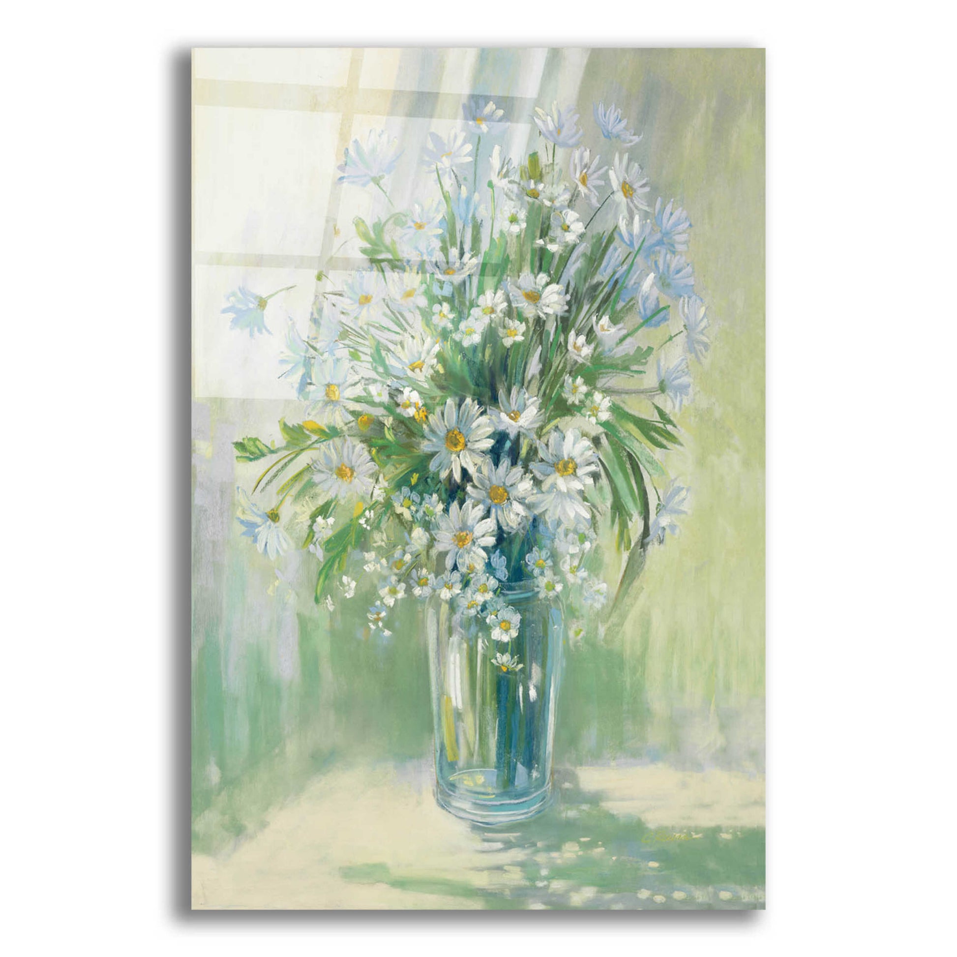 Epic Art 'Sunlit Daisies' by Carol Rowan, Acrylic Glass Wall Art