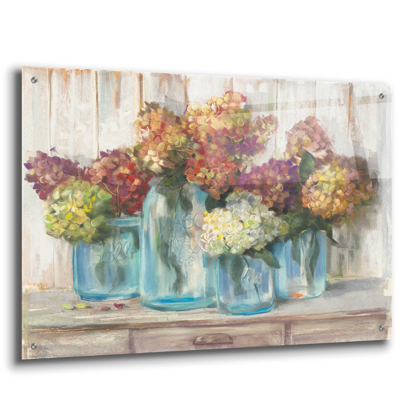 Epic Art 'Hydrangeas In Glass Jars White Wood' by Carol Rowan, Acrylic Glass Wall Art,36x24