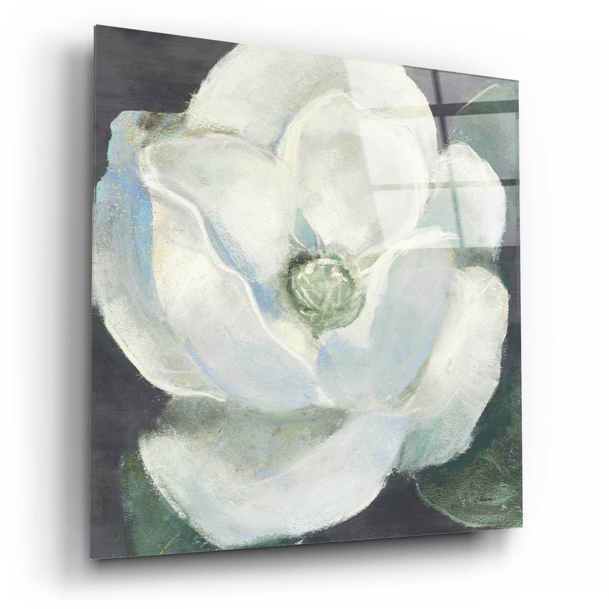 Epic Art 'Magnolia II Sage' by Carol Rowan, Acrylic Glass Wall Art,12x12