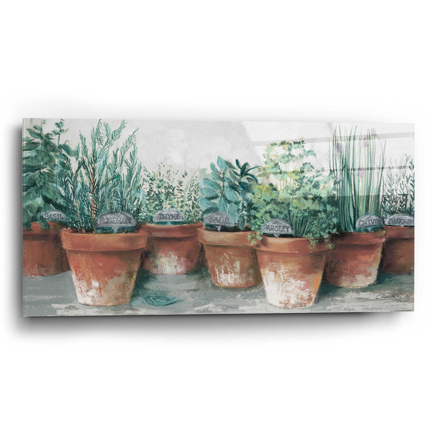 Epic Art 'Pots Of Herbs II Cottage' by Carol Rowan, Acrylic Glass Wall Art,24x12