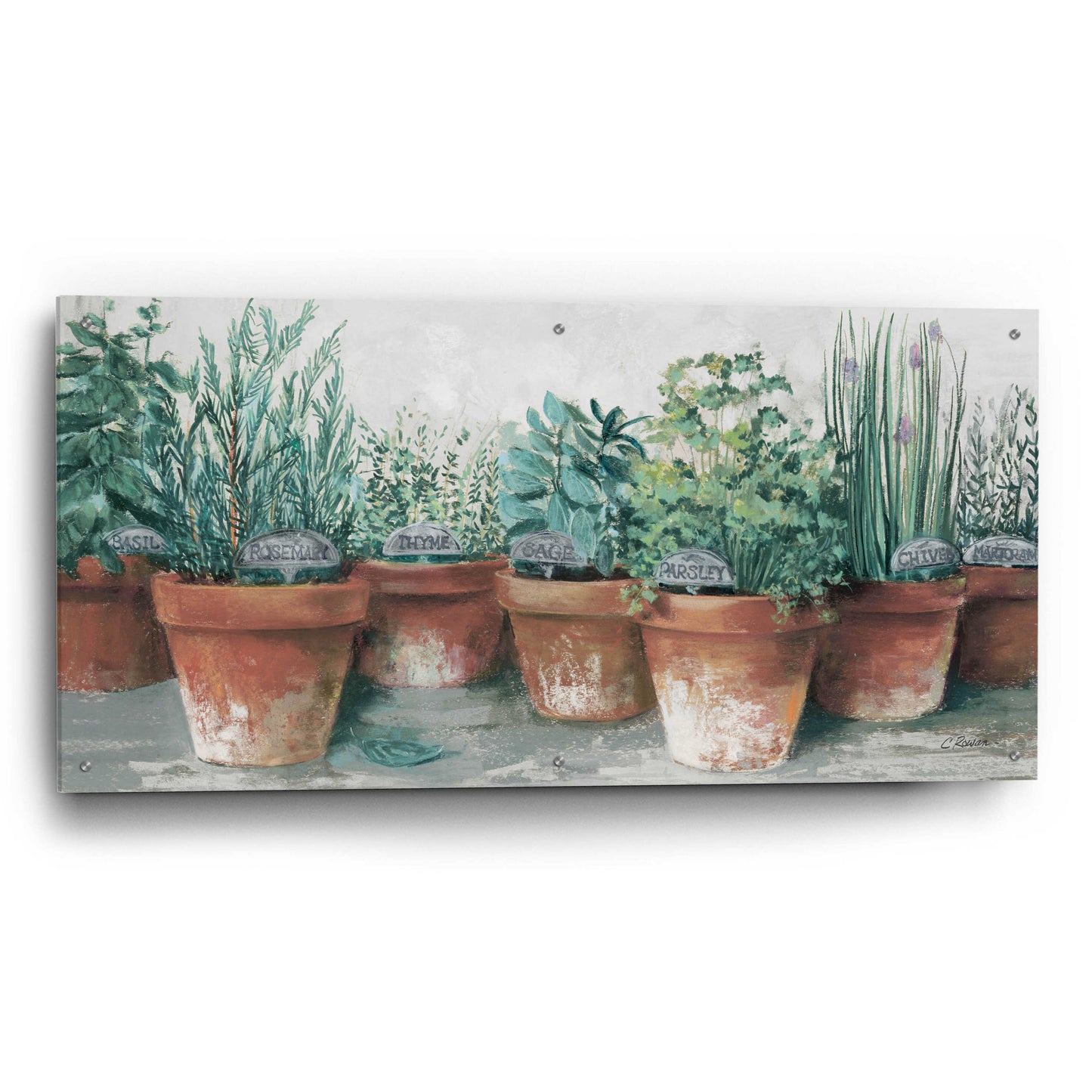 Epic Art 'Pots Of Herbs II Cottage' by Carol Rowan, Acrylic Glass Wall Art,48x24