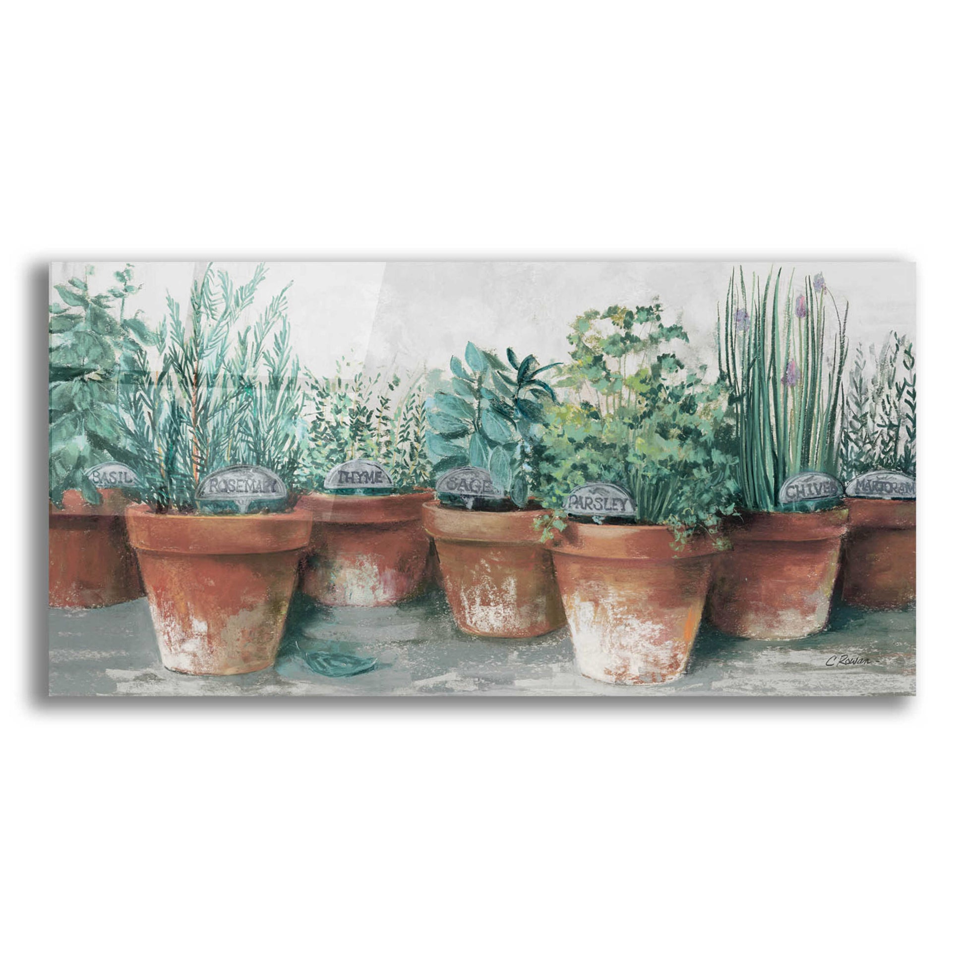 Epic Art 'Pots Of Herbs II Cottage' by Carol Rowan, Acrylic Glass Wall Art