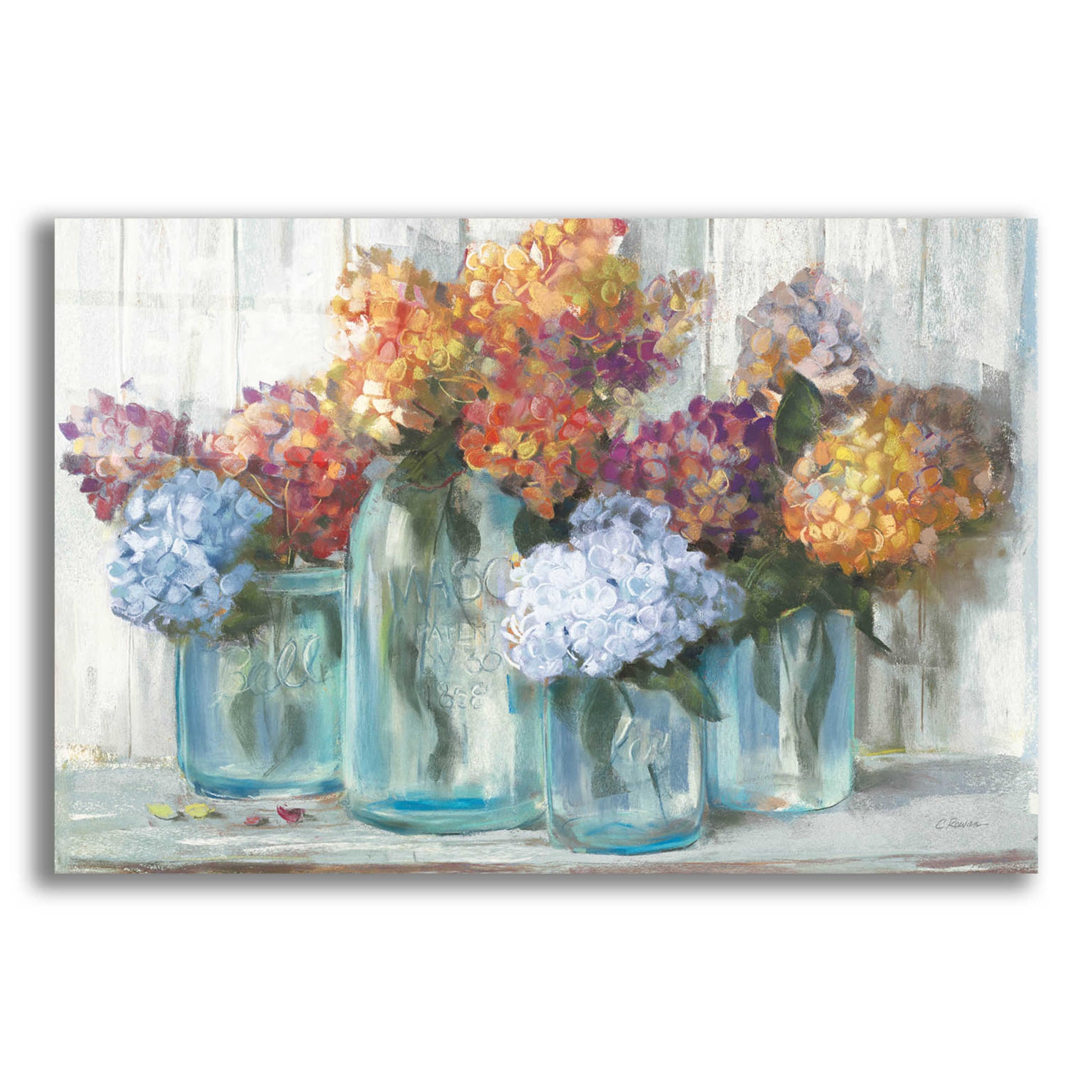 Epic Art 'Fall Hydrangeas In Glass Jar Crop' by Carol Rowan, Acrylic Glass Wall Art,24x16