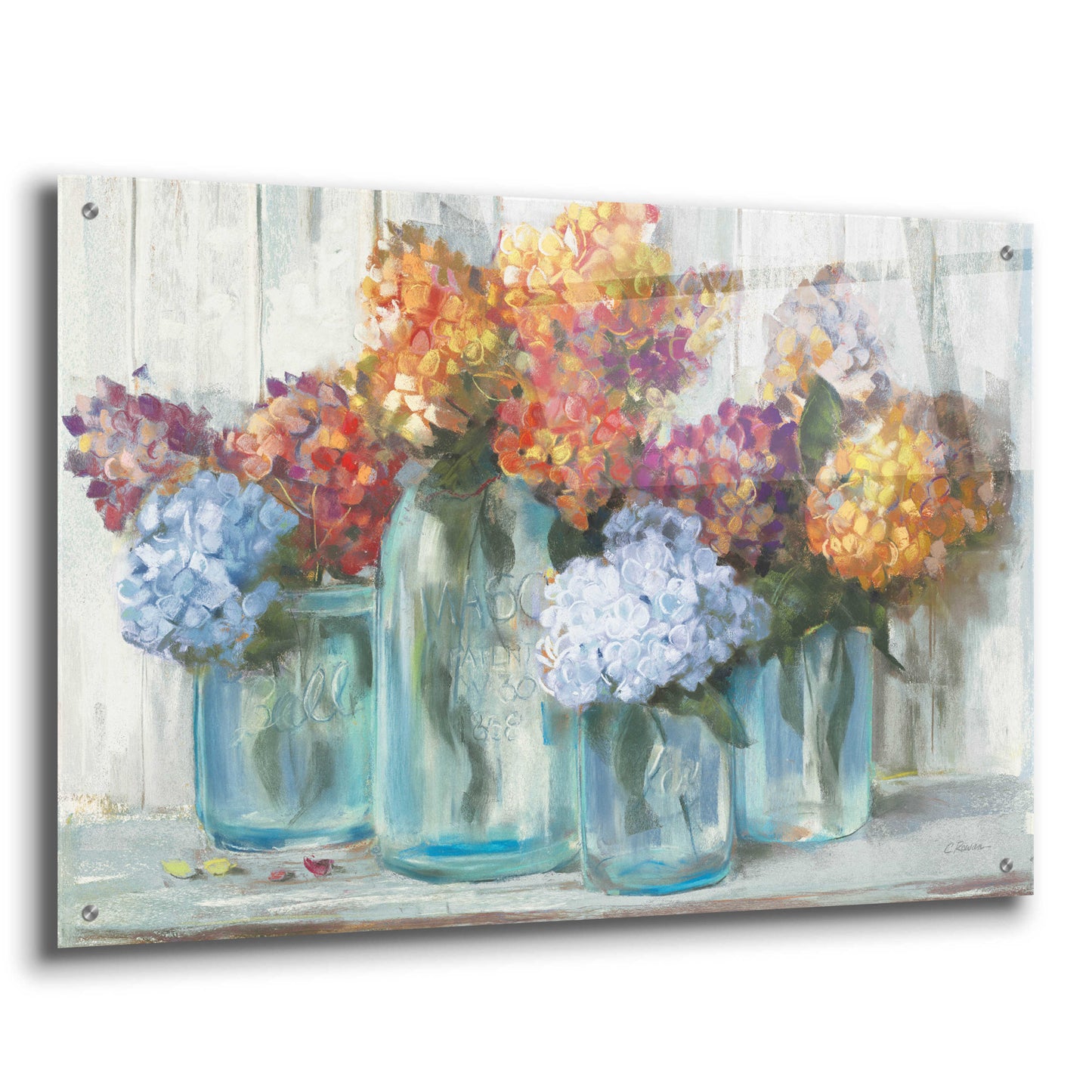 Epic Art 'Fall Hydrangeas In Glass Jar Crop' by Carol Rowan, Acrylic Glass Wall Art,36x24