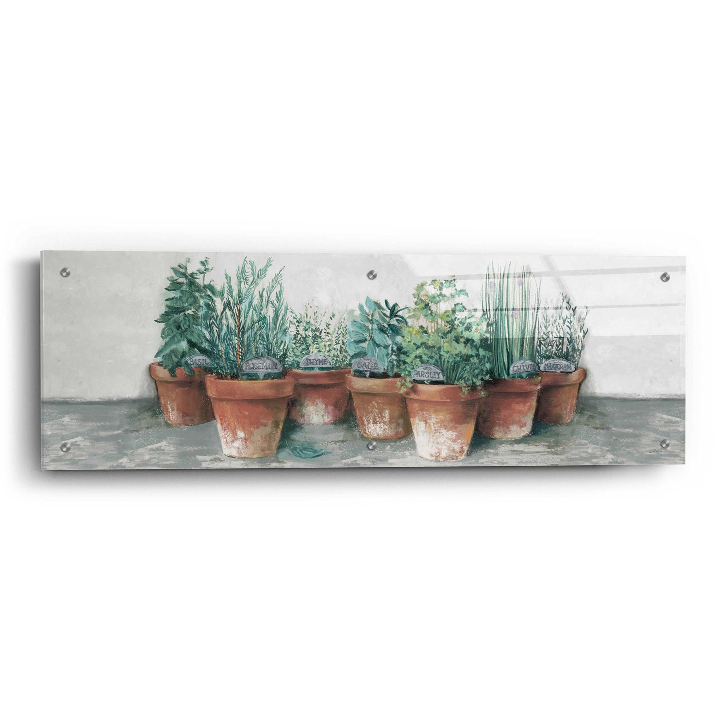 Epic Art 'Pots Of Herbs II Cottage V2' by Carol Rowan, Acrylic Glass Wall Art,36x12