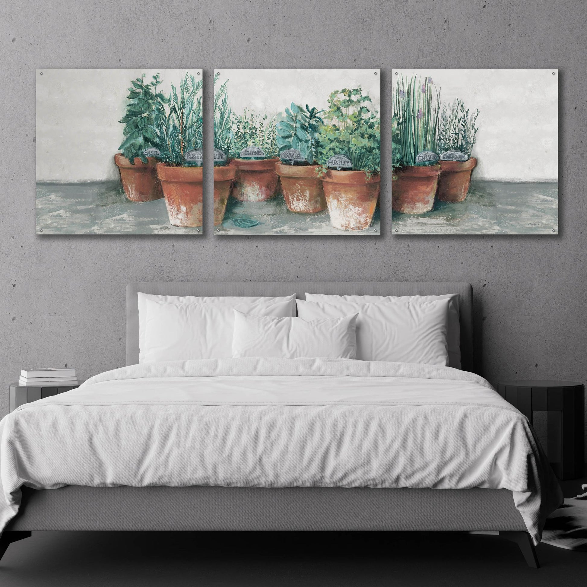 Epic Art 'Pots Of Herbs II Cottage V2' by Carol Rowan, Acrylic Glass Wall Art, 3 Piece Set,108x36