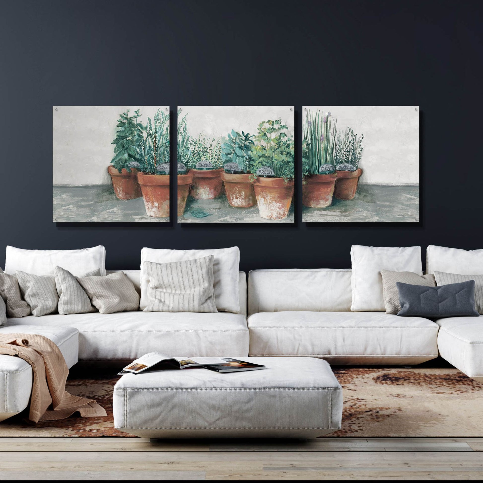 Epic Art 'Pots Of Herbs II Cottage V2' by Carol Rowan, Acrylic Glass Wall Art, 3 Piece Set,108x36