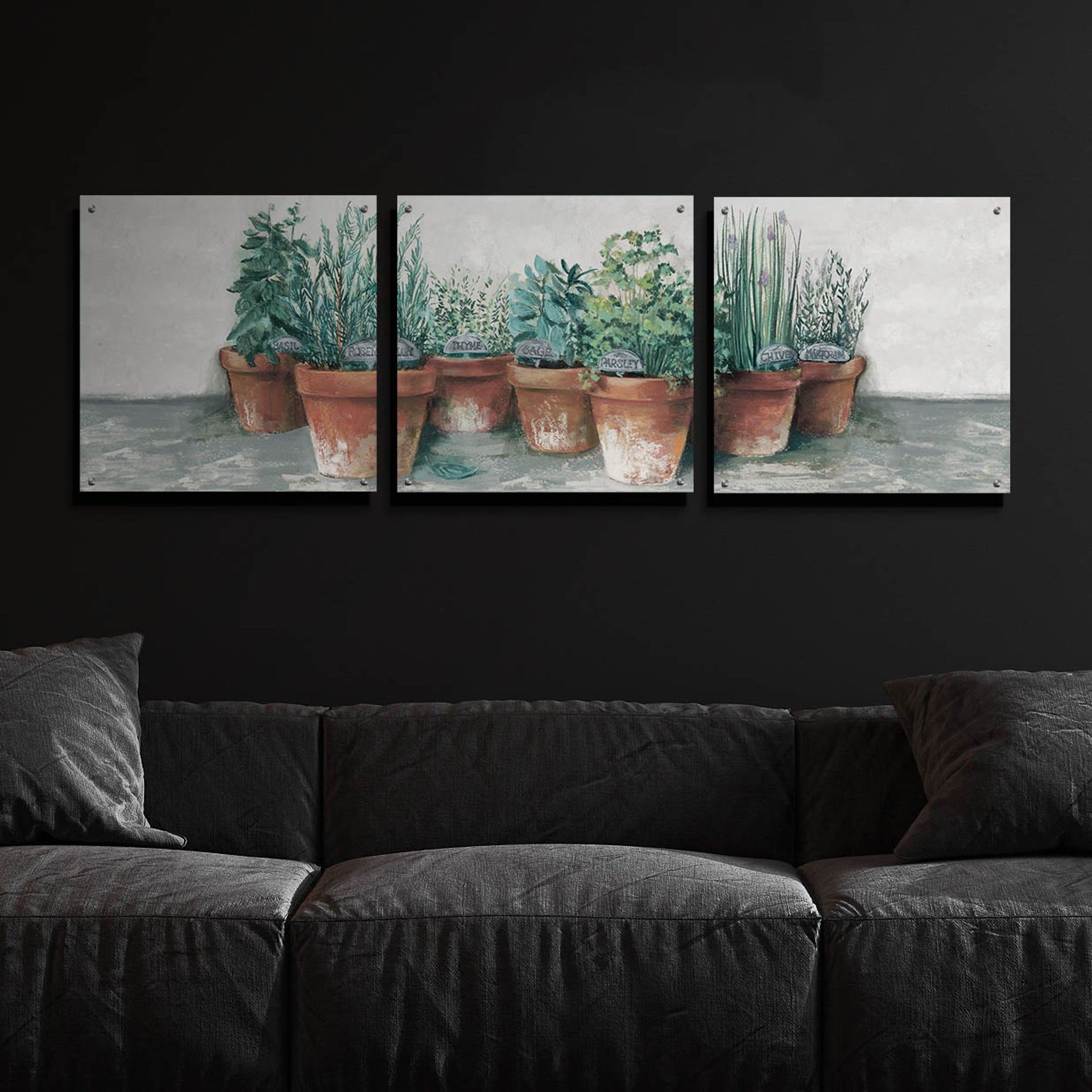 Epic Art 'Pots Of Herbs II Cottage V2' by Carol Rowan, Acrylic Glass Wall Art, 3 Piece Set,72x24