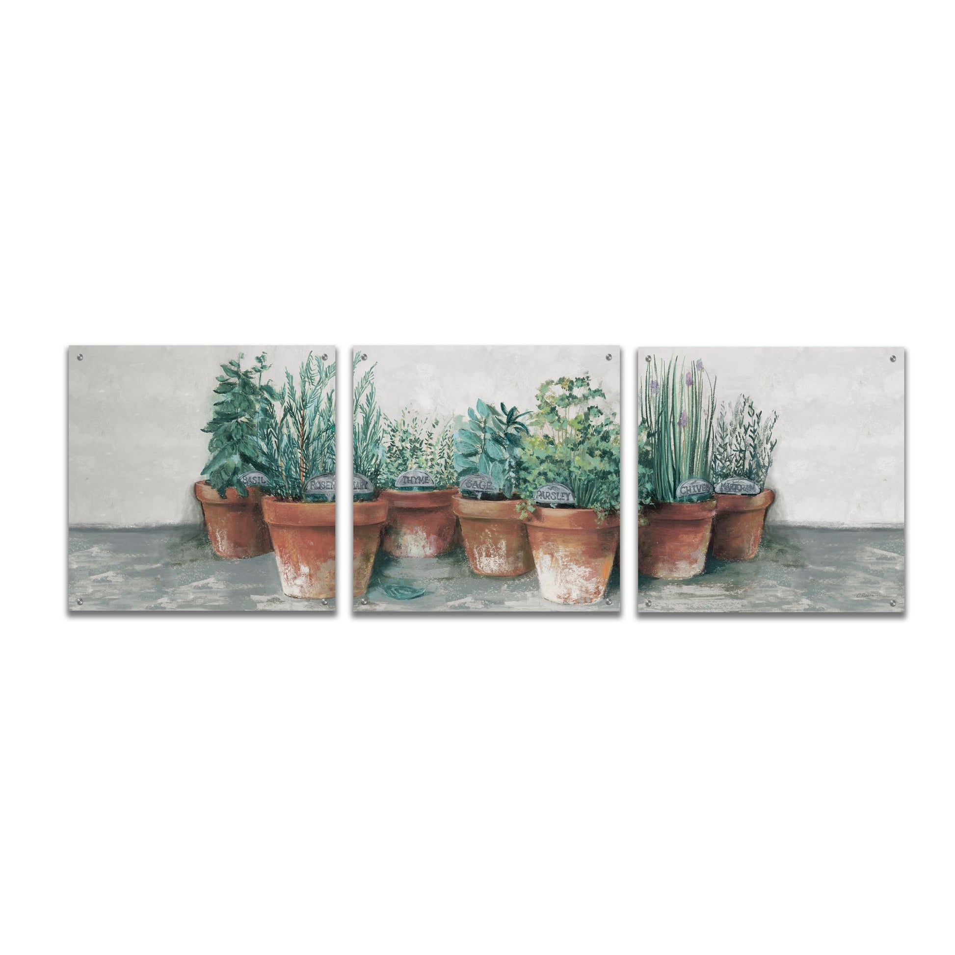 Epic Art 'Pots Of Herbs II Cottage V2' by Carol Rowan, Acrylic Glass Wall Art, 3 Piece Set