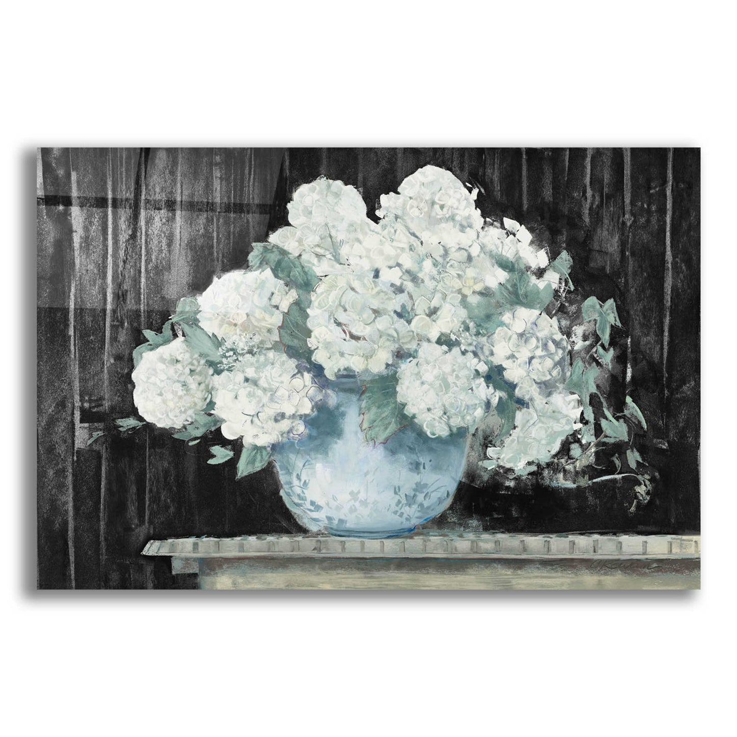 Epic Art 'White Hydrangea On Black Crop' by Carol Rowan, Acrylic Glass Wall Art,24x16