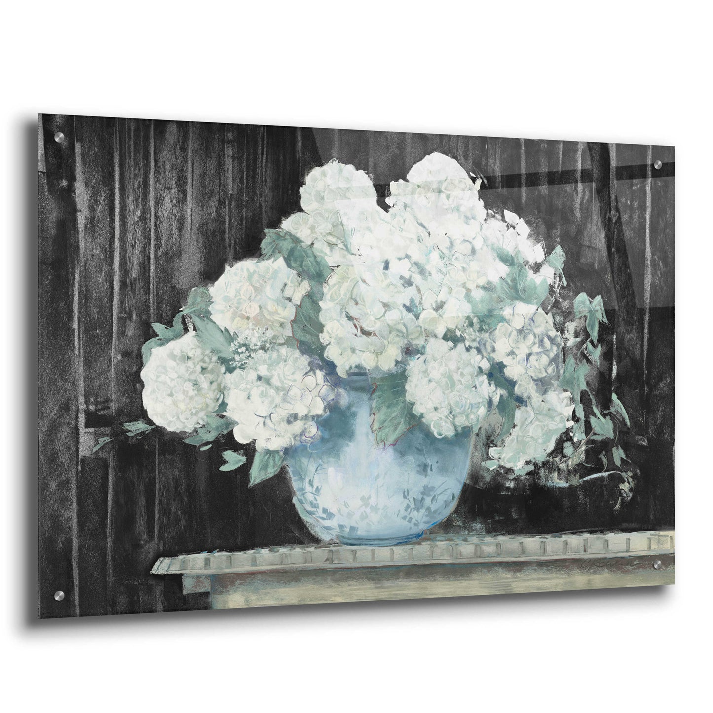 Epic Art 'White Hydrangea On Black Crop' by Carol Rowan, Acrylic Glass Wall Art,36x24