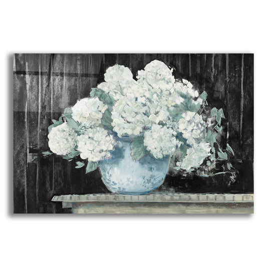 Epic Art 'White Hydrangea On Black Crop' by Carol Rowan, Acrylic Glass Wall Art