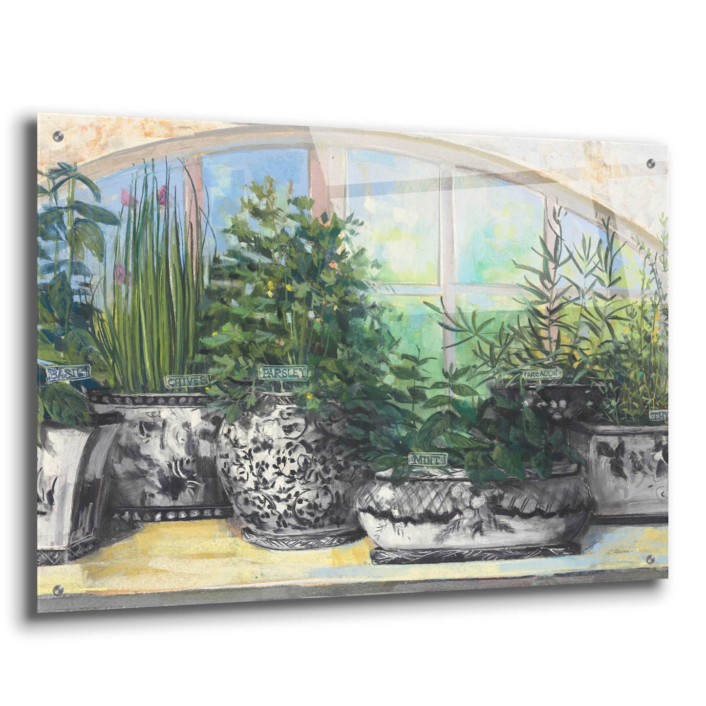 Epic Art 'Windowsill Herbs Bw Vases Crop' by Carol Rowan, Acrylic Glass Wall Art,36x24