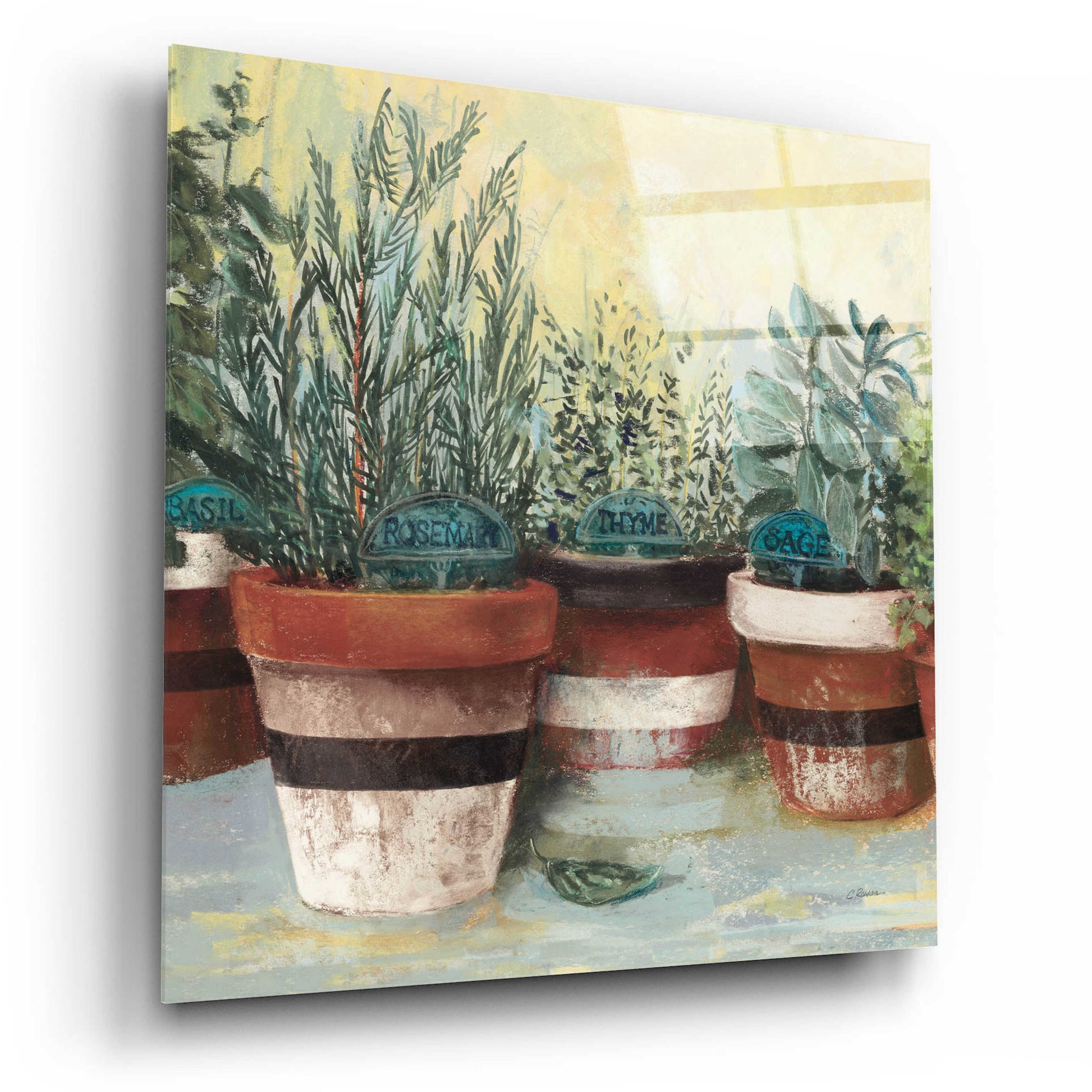 Epic Art 'Potted Herbs II Stripes Crop' by Carol Rowan, Acrylic Glass Wall Art,12x12